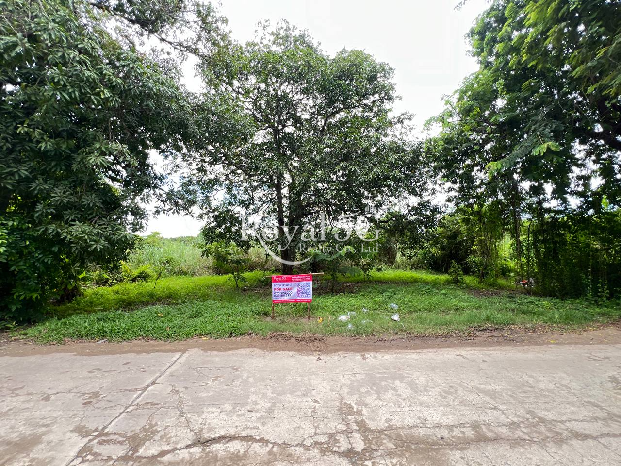 ដីលក់បន្ទាន់ សង្កាត់វាលស្បូវ ខណ្ឌច្បារអំពៅ (7)
