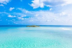 Photo Credit - From Google