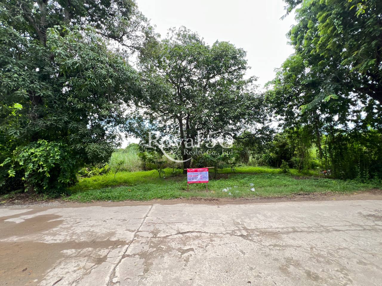 ដីលក់បន្ទាន់ សង្កាត់វាលស្បូវ ខណ្ឌច្បារអំពៅ (8)