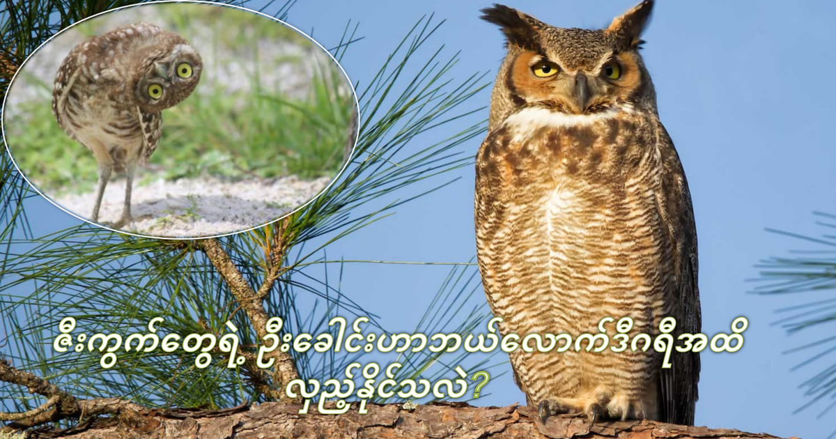 //s9.kh1.co/65/65d73e221cc60da1f373e9706ede8613ad543dd2.jpg