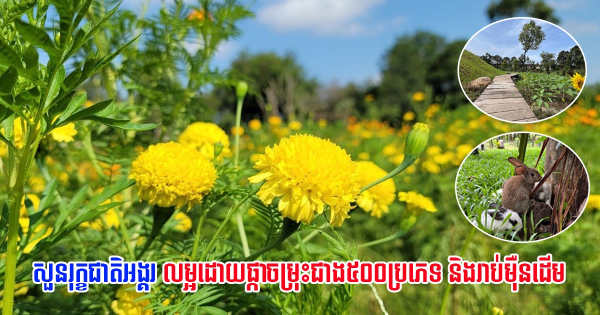 //s9.kh1.co/82/8220e008a03c11aa00fa26add86d60522076fc2a.jpg