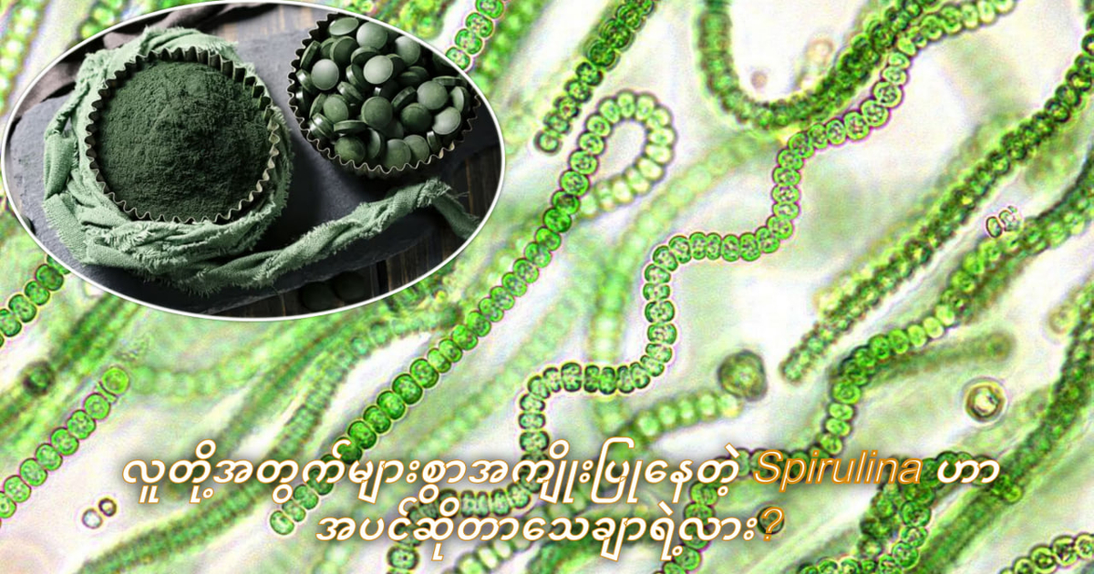 //s9.kh1.co/9f/9f3755662251b0523943f41db9abc28a3fa562aa.jpg