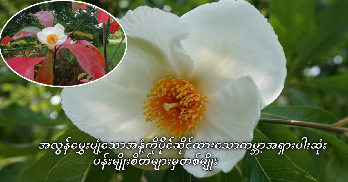 //s9.kh1.co/a7/a7784969959cbe08afe46a7a709d943a3b63dc8f.jpg