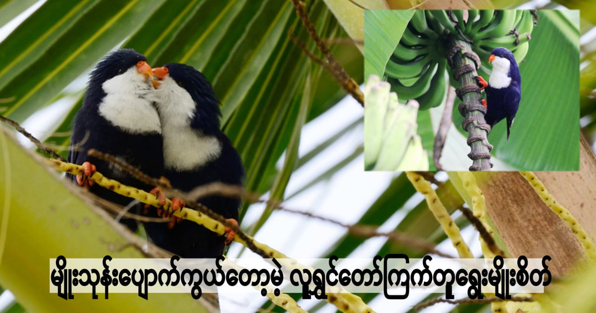 //s9.kh1.co/cc/ccc54e8aa8ddec7a135f120c58f33b67160f1640.jpg