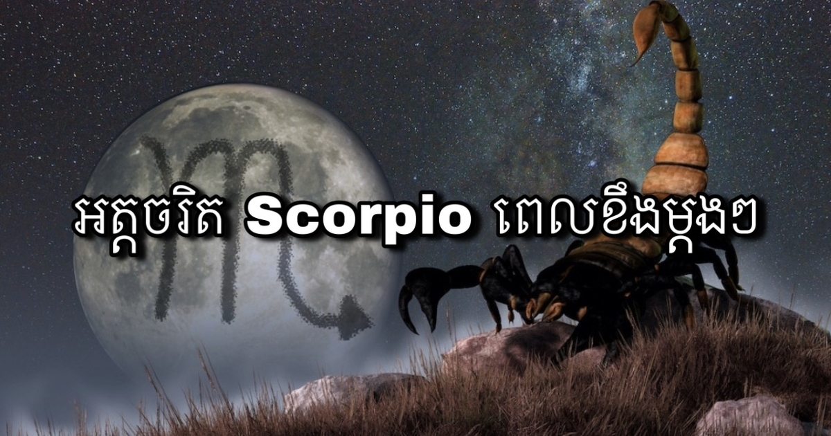 //s9.kh1.co/d1/d1f5b9f5a901fe4fdedc5418582a9f6497fedddb.jpeg