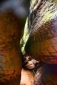 Photo Credit – From Google