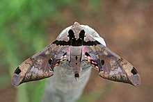 Photo Credit – From Google