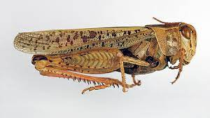 Photo Credit - From Google