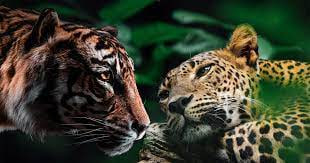 Photo Credit - From Google&nbsp;