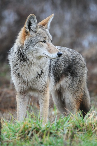 Photo Credit - From Google