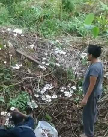 Photo Credit-Ye Min's FB Acc