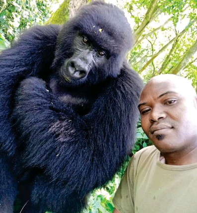 Photo Credit - Kingdom