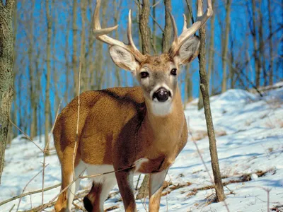 Photo Credit – From Google