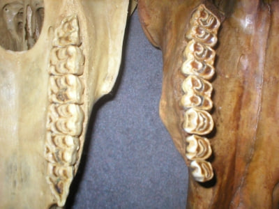 Photo Credit – From Google