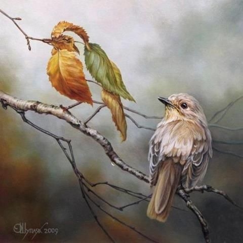 https://s9.kh1.co/__image/w=480,h=480,q=100/8c/8cb2c0331fa1edec4c927f1f93104181778eb40c.jpg