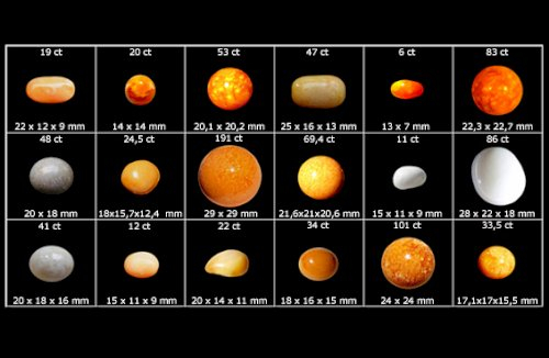 Photo Credit - From Google