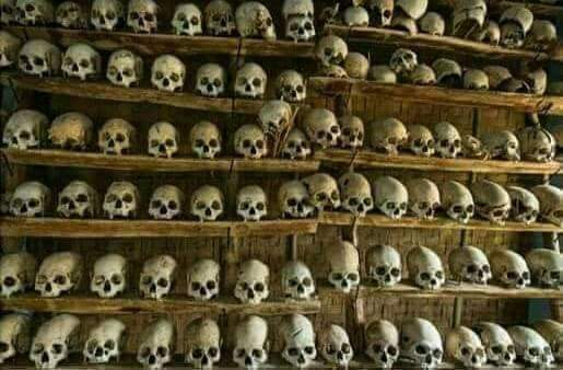 Photo Credit - From Google