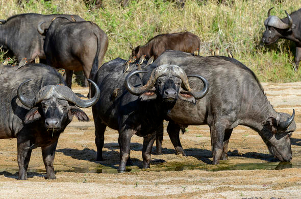 Photo Credit – From Google