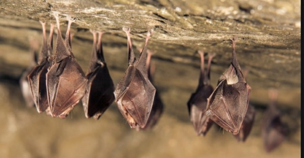 Photo Credit - USA today