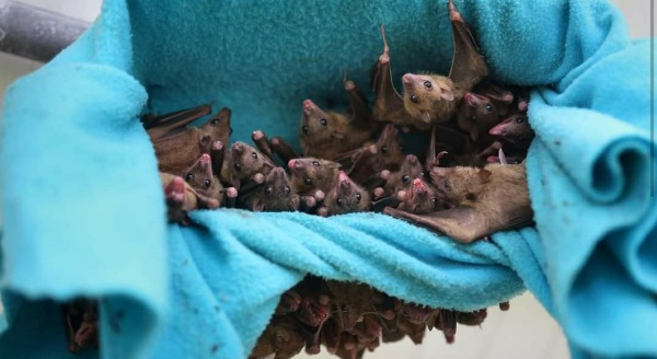 Photo Credit - USA today