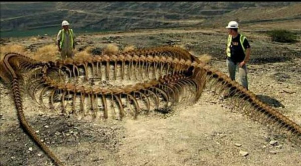 Photo Credit - From Google