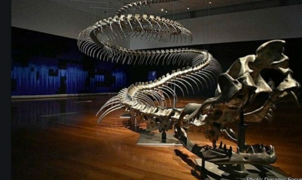 Photo Credit - From Google