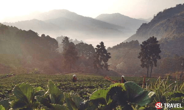 ភ្នំ Doi Ang Khang
