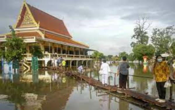 Photo Credit - from Google&nbsp;