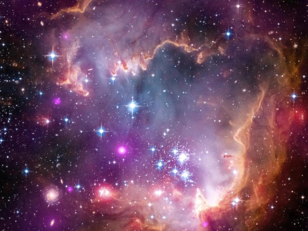 Photo from google