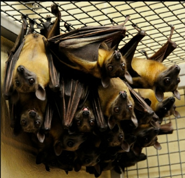 Photo Credit - USA today