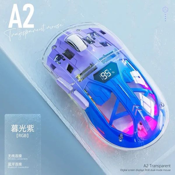 M R002 Mouse A2RGB mouse - L192