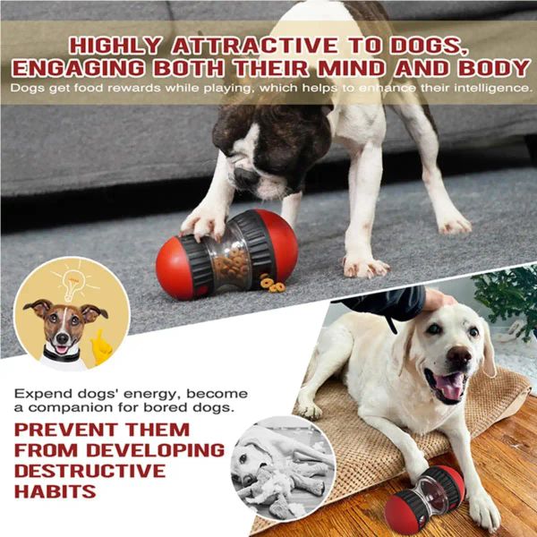 Dog Enrichment Best Puppy Toys To Keep Them Busy Dog Puzzle Toy