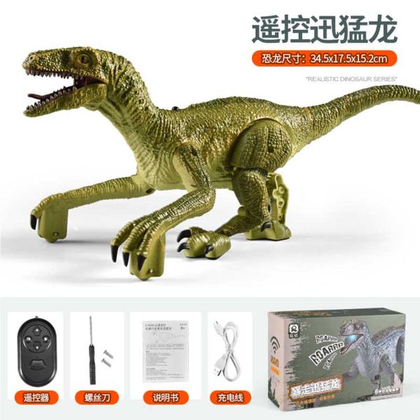 Remote Control Dinosaur Toys Kids RC Electric Walking Jurassic Dinosaur ...