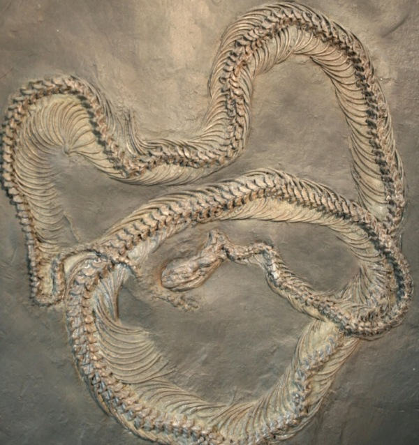 Photo Credit - From Google