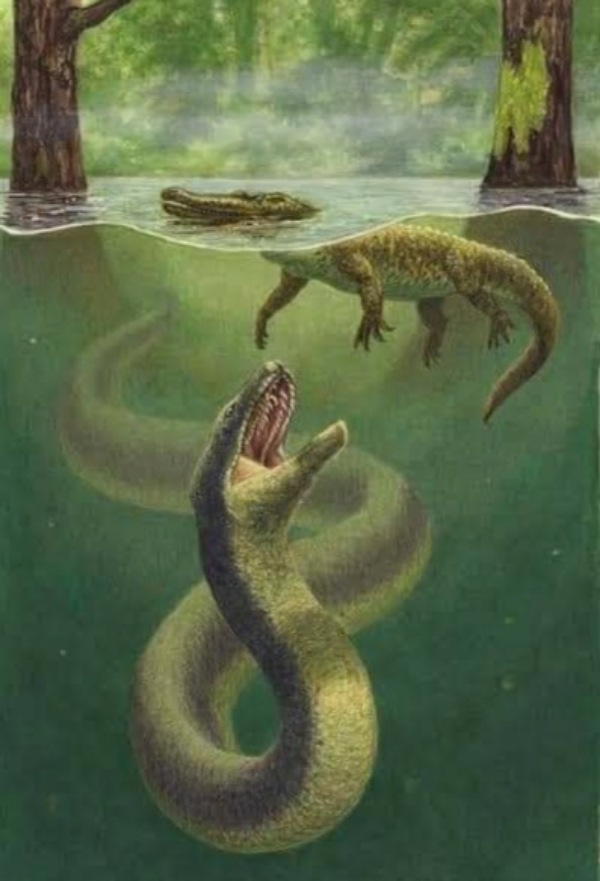 Photo Credit - From Google