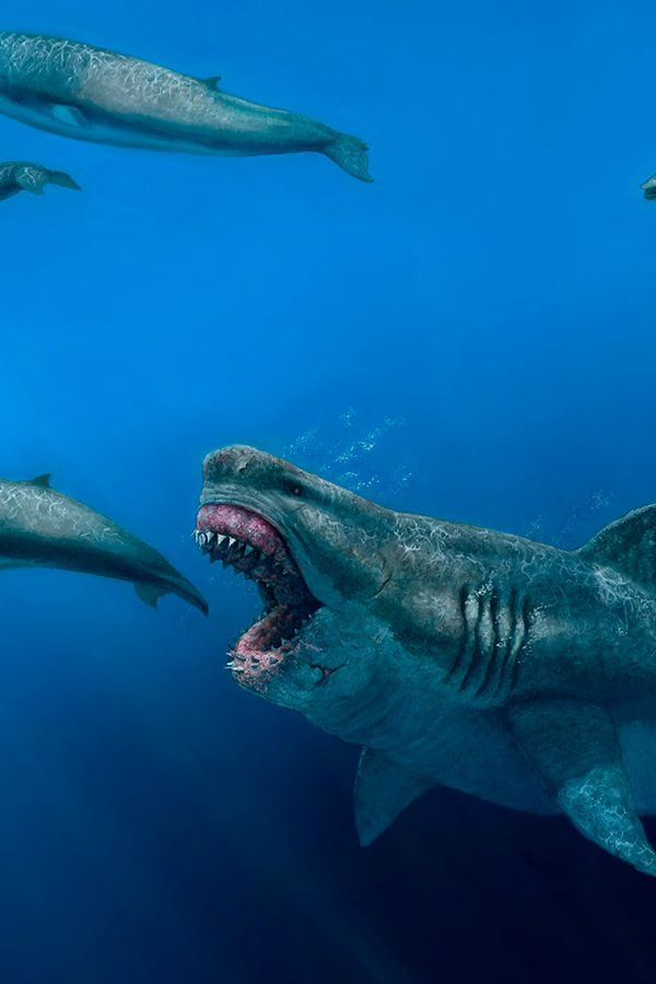 Photo Credit - From Google&nbsp;