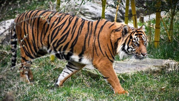 Photo Credit - From Google&nbsp;