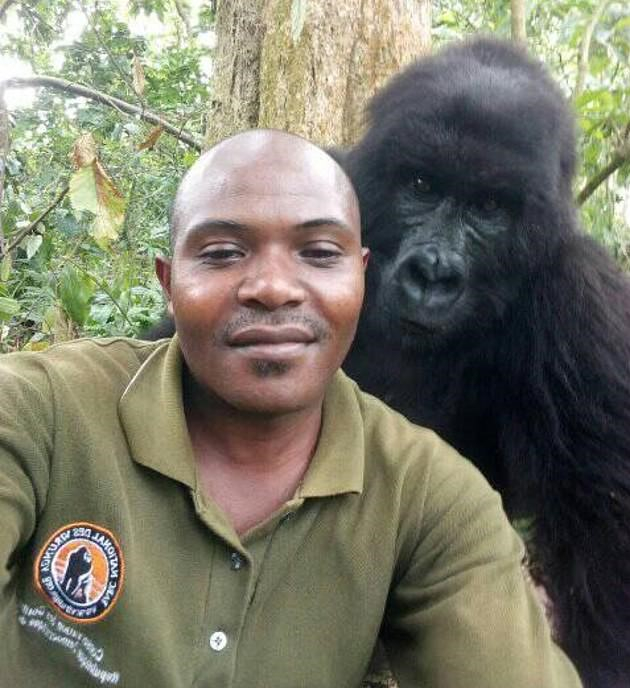 Photo Credit - Kingdom