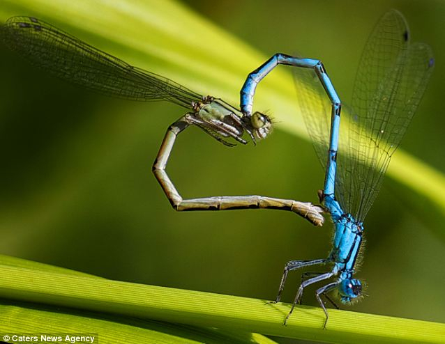 Photo Credit – From Google