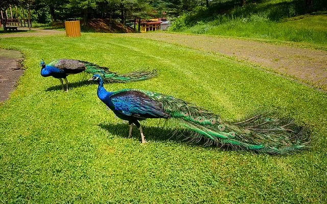 Photo Credit – From Google