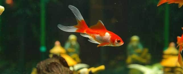 https://s9.kh1.co/__image/w=643,h=262,q=100/4e/4e2c7968dfeba3b9a05c174821eca5738be52cbb.jpg