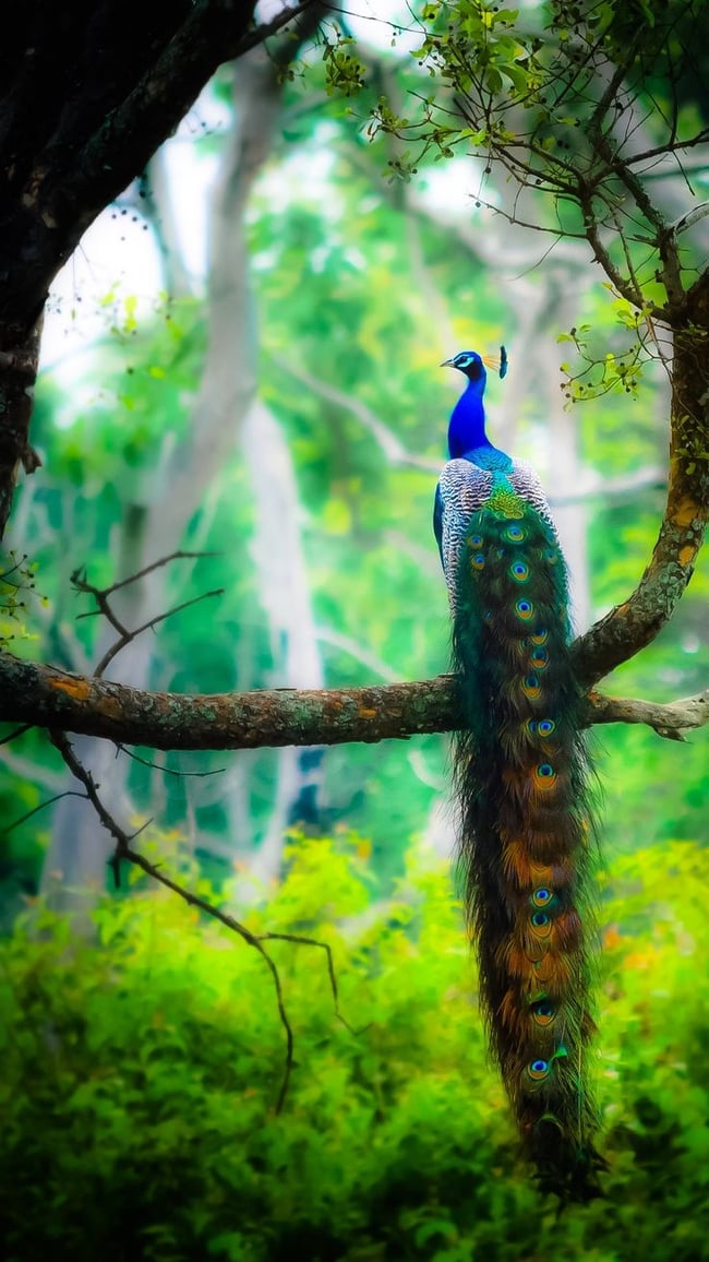 Photo Credit – From Google