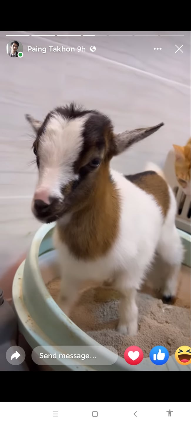 Photo Credit From Original Uploader