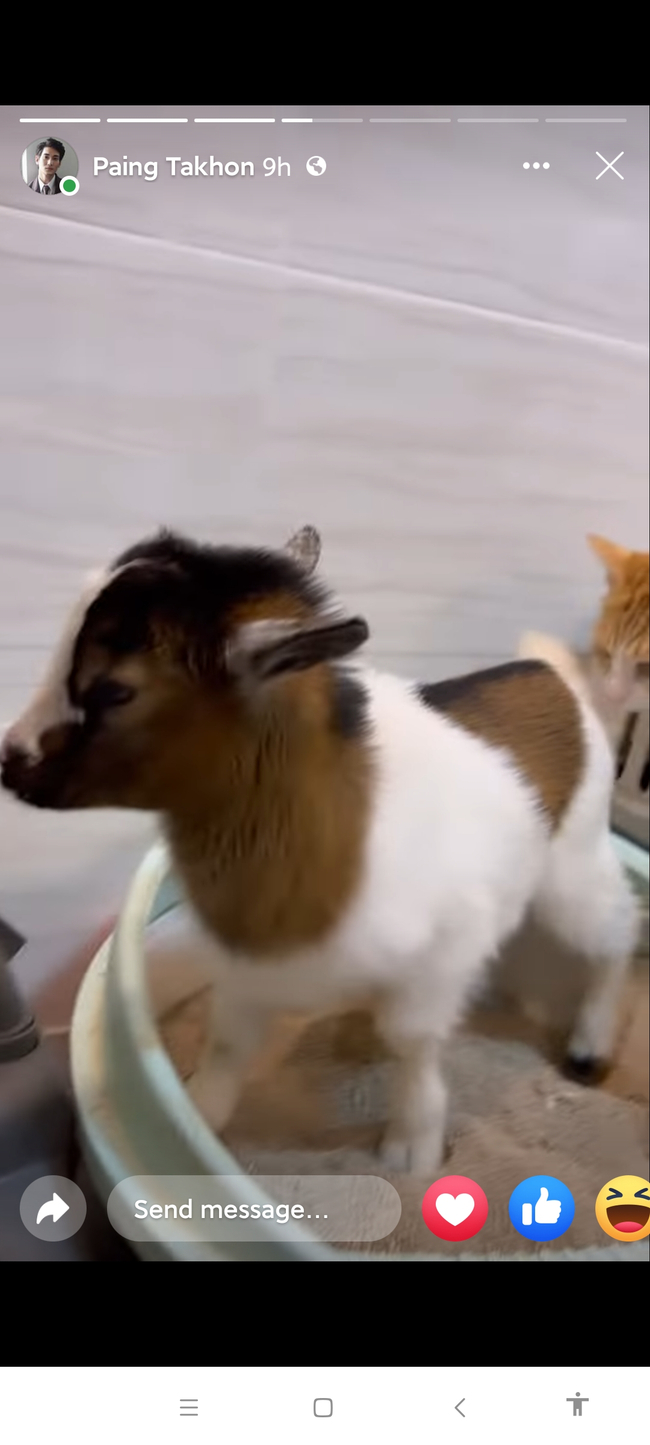 Photo Credit From Original Uploader