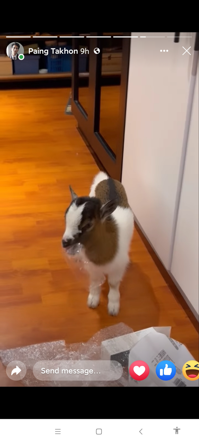 Photo Credit From Original Uploader