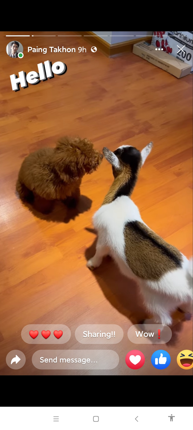 Photo Credit From Original Uploader