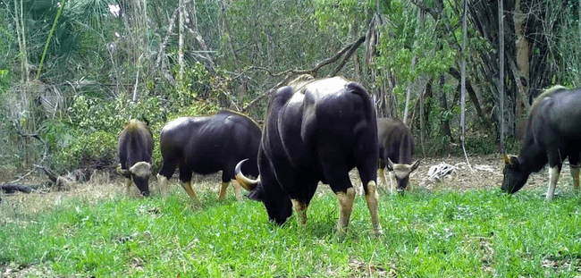 រូបភាព៖ ក្រសួងបរិស្ថាន