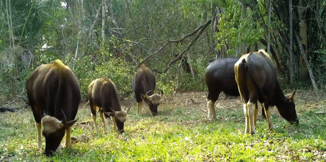 រូបភាព៖ ក្រសួងបរិស្ថាន