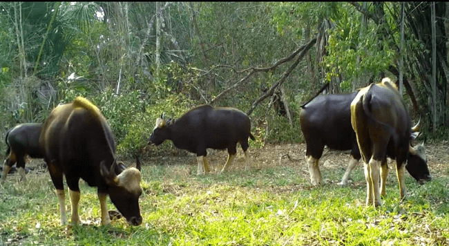 រូបភាព៖ ក្រសួងបរិស្ថាន
