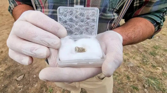 Photo Credit – From Google